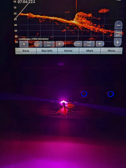 Summit Shuttle UV Light