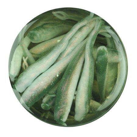 Berkley Gulp! Alive! Minnow,Emerald Shiner