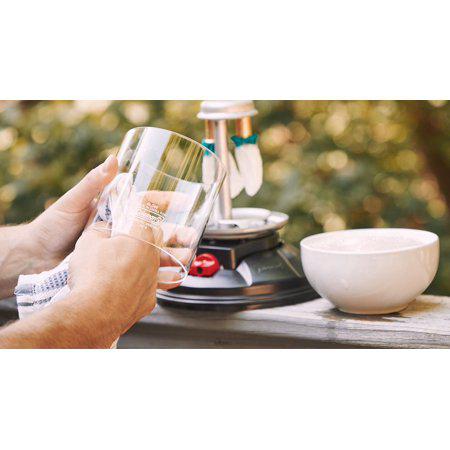 Coleman Company Standard Shape Lantern Replacement Globe