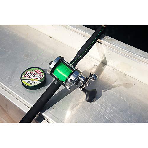 berkley big cat fishing line Berkley Trilene Big Cat Fishing Line, Green