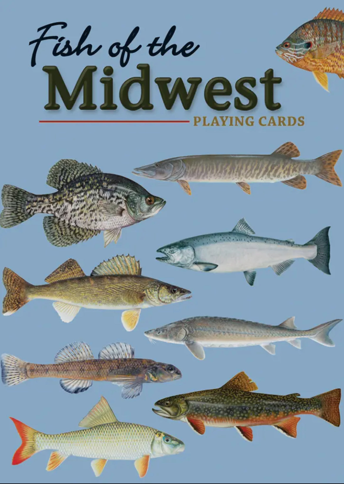 Boutique ‘Fish of the Midwest’ playing cards